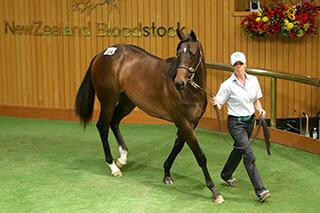 Lot 728 Per Incanto - Grable. Photo: Trish Dunell.